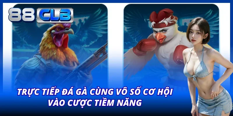 Trang chủ 43 Cơ hội hấp dẫn với siêu phẩm đá gà từ nhà cái 88CLB